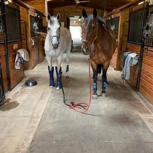 Meet your Posher, Missy